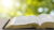 The Book of Revelation
