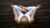 The Complete Meditation and Mindfulness Course