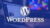 The Complete WordPress Website Course and Tutorials