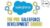 The Pro Salesforce Development Course : Beginner to Advanced