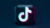 TikTok Marketing 2021: Grow Your Account & Master TikTok