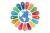 Transforming Your Organisation with the UN SDGs