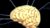 Understanding Brain Injury