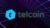 Unlock the world of Telcoin