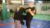 Urban Krav Maga: Defending The Most Common Street Attacks