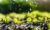 WageningenX: Agricultural Water Management: Water,-Society and Technology Interactions