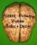 What and How to Teach with Video