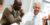 Workplace learning with coaching and mentoring