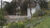 Year-Round Beauty: Growing a Layered Garden